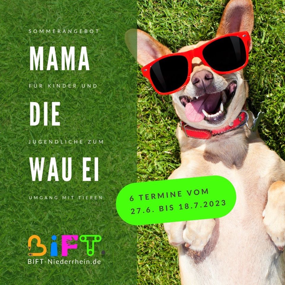 Mama die Wau ei - Richtiger Umgang mit Haustieren
